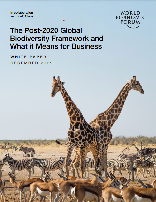 Biodiversity is declining faster than at any time in human history, threatening the ecosystem services on which our lives and livelihoods depend. The Global Biodiversity Framework (GBF) aims to reverse this decline, with the provision of a strategic vision and a global roadmap for the conservation, protection and sustainable management of biodiversity and ecosystems through 2030.More than half of the world’s economy is highly or moderately dependent on nature, has a critical and irreplaceable role to play in delivering the innovation, investment and business models that will be needed to achieve the goals of the GBF, which aims to galvanize urgent and transformative action to halt and reverse biodiversity loss by 2030.The white paper provides context and potential implications for 10 of the draft GBF’s 22 proposed action targets that are most likely to result in changes to business strategies or operations across multiple sectors, and presents case studies of companies that are already taking action to mitigate nature-related risks in their operations, while investing in new business opportunities that contribute positively to the targets of the GBF.The paper also covers six emerging approaches that will need to be scaled up to halt and reverse biodiversity loss, driven by proactive companies and financial institutions, as well as by regulators and other stakeholders.