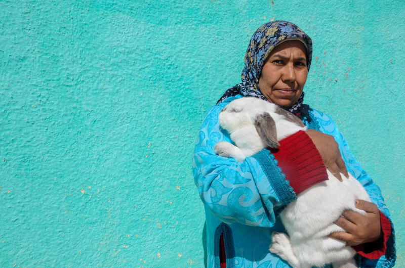 In Morocco, digital health has been deployed extensively, and in a remarkable way, to support the management of the current COVID-19 crisis. Morocco is taking significant measures to become a key player in the process of achieving SDG 3. The government has comprehensively integrated digital technology throughout its coordinated containment and mitigation processes. This report tells the implementation of several digital strategies and the management of health aspects of the pandemic for thedevelopment of health systems in Morocco.