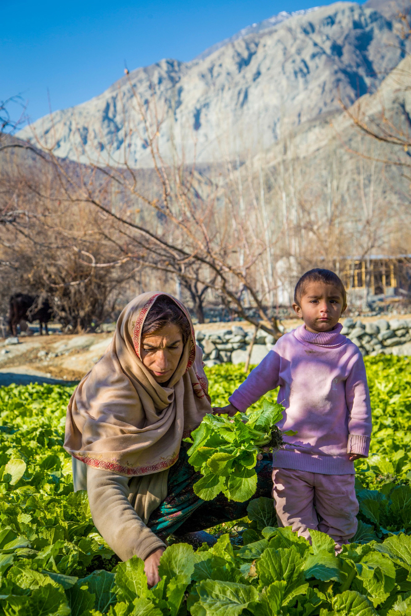 This case study aims to describe the Government of Pakistan’s efforts to continue to providing quality education during the COVID-19 pandemic through alternative delivery channels. The data collection involved key informant interviews with civil servants, research organisations, and teachers. We conducted also a literature review, comprising reports, newspaper articles, and policy briefs, for&nbsp;recommendations as a possible course of future action.