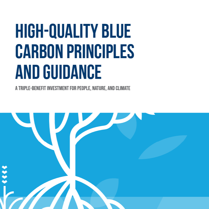 The High-Quality Blue Carbon Principles and Guidance seeks to provide a consistent and accepted framework for blue carbon credits for credit purchasers, investors, suppliers, and project developers. This shared vision for quality can serve a foundational role in building confidence and momentum around blue carbon project development and investments.The five principles, each of equal importance, are:Safeguard natureEmpower PeopleEmploy the best information and carbon accounting principlesOperate contextually and locallyMobilize high integrity capital