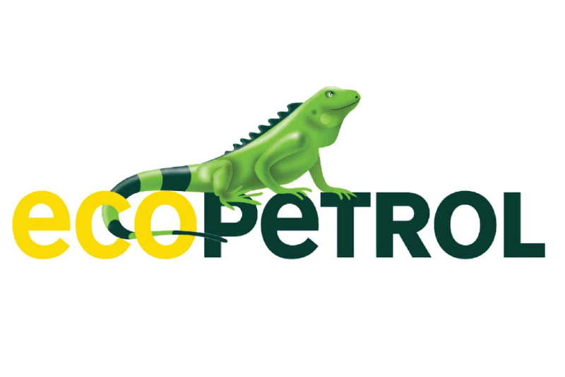 Scenario: At petroleum company Ecopetrol, taking cybersecurity seriously means that it should be integrated throughout all aspects of the value chain, from IT devices to energy assets connected by OT control systems.

This overarching principle has been cascaded throughout the company’s approach to integrate cyber-risk management at all points in its operations. To enforce the importance of cyber risk, board members and the CEO developed and endorsed key cyber principles in a memorandum that was communicated to the company by the chief operating officer and chief information officer. The memo’s central goal was to integrate cyber into all the enterprise’s operational tasks, beginning with IT and OT environments, as well as in all the processes in business units and holding companies.

With the board leading oversight and the implementation of key guidelines, Ecopetrol prioritized cyber risks linked to the strategic risks.

Key takeaway: With board support, the team was able to strengthen its cybersecurity programme by adding personnel and funding and establishing a “Cybersecurity Governance System” to better manage these risks.