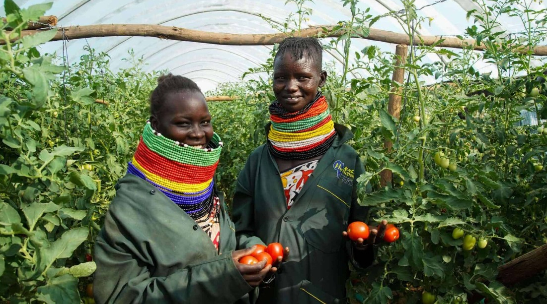 2024 Update:With the support of country partners and the Kenyan government, the initiative consolidated existing market and needs assessments, convened local investors and market development actors active in the region, and identified a USD 400 million investment pipeline.In 2025, we plan to start tackling identified investment challenges, and connect identified investment opportunities with relevant capital providers, with the support of country partners.Commitment:Spearheaded by the Kenyan Government and the United States Government, top organisations including The African Development Bank (AFDB), Bamboo Capital Partners, CrossBoundary, IKEA Foundation, ODI, and the World Bank Group are coming together to support favorable market conditions to pilot a new approach to help scale a pipeline of businesses in Northern Kenya. The HRI initiative together with its Call to Action partners plan to implement this approach in nine additional frontier markets by 2030.&nbsp;