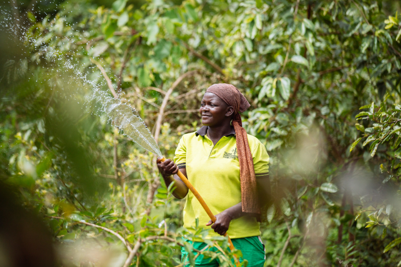 2024 update: Investments made: 3Capital budgeted to be invested: $1.3 millionCapital disbursed: $700,000Lives impacted: 2,700Amount of capital (non-Acumen) leveraged by companies : $1.25 millionCommitment:With support from the Hilton Foundation and the Swiss Agency for Development &amp; Cooperation, Acumen is launching a pilot investment initiative in frontier markets in East Africa to invest $1.5 million of equity into early-stage social enterprises that are inclusive of forcibly displaced people (FDP) as employees, suppliers and customers. In addition to investment capital, Acumen will provide investment readiness support and technical assistance to these businesses to help them overcome key challenges in their business models and deepen their inclusion of FDP, and share insights with the impact investing ecosystem.Supporting partners include: Hilton Foundation, Swiss Agency for Development &amp; Cooperation (SDC)