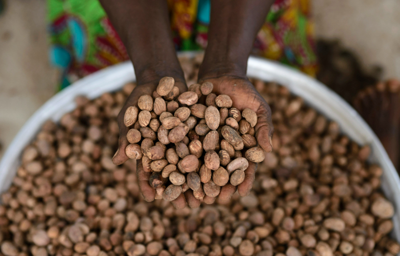 AgDevCo is developing a new agribusiness specialist impact investment fund run by AgDevCo as the GP – focused on investing in earlier stage agribusinesses in the $1-3m target space (initially in East Africa).