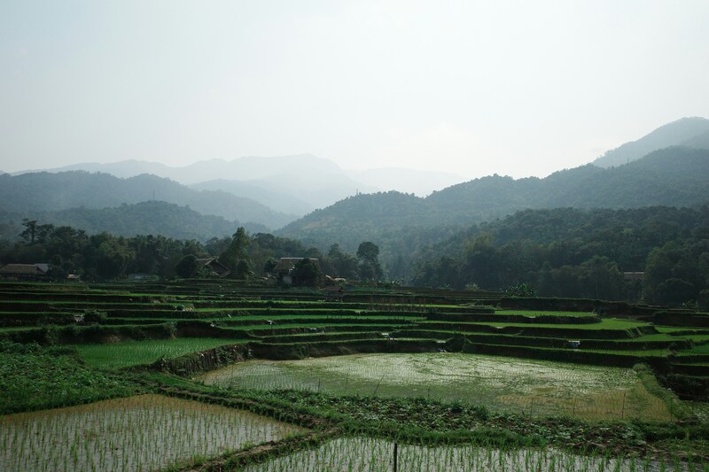 Description financing model: Intermediated Financing FacilityCommercial capital is channeled through a facility that extends loans to farmers. These facilities often pool funding from both commercial and catalytic sources, enabling greater scale while balancing risk and returnApplicability: Well-suited for a range of asset owners (e.g., pension funds, institutional investors) who seek to support farmer financing without direct engagementConsiderations: Success is dependent on effective matching of stakeholders with different risk-return expectationsDescription of de-risking tool(s):First Loss Coverage:&nbsp;A form of credit enhancement where a party (often public or philanthropic) agrees to absorb initial losses, protecting other investors (private) and encouraging their participation by limiting risk exposureGuarantees: Third-party assurances (typically by public or development actors) to cover losses in case of borrower default, reducing perceived investment riskOfftake agreements:&nbsp;Contractual commitments by value chain actors to purchase sustainably produced outputs at pre-agreed terms, providing revenue certainty and improving bankabilityEcosystem outcome monetization: Positive environmental outcomes (e.g., carbon sequestration) of farmers are quantified and monetized through ecosystem outcome credits (e.g., carbon credits). This creates an additional revenue stream for projects and links sustainability outcomes directly to financial returnsCase study description:&nbsp;Growbeyond aims to accelerate climate adaptations and inclusive finance for small holder farmers and agri-SMEs in Southeast AsiaRegional fund&nbsp;(ASEAN) comprises catalytic capital and technical assistancefund to support over 10 country-crop local facilities, delivered by local bankProvide pari-passu guarantees&nbsp;on 50% of portfolio and/or first loss on 10% of portfolio$15M grants for technical assistance for each facilityLocal partner bank acts as lending facility, bringing in own capitalUnsecured loans are provided to farmers to finance CAPEX &amp; working capital needs via cooperatives/FAIsClosed Looped Partnership includes offtake agreements with value chain players, MRV, ecosystem monetization etc.Complete deal,&nbsp;crowding in $85M commercial capital, $15M concessional TA with support from guarantee providers for each local facility