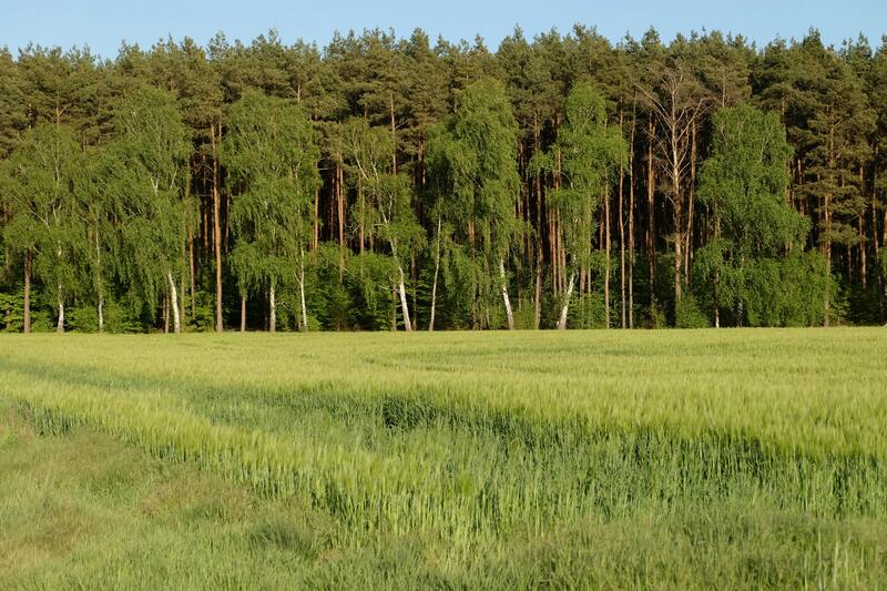 ESG & Sustainable Finance Data Skills and Capacity Building - Agri3