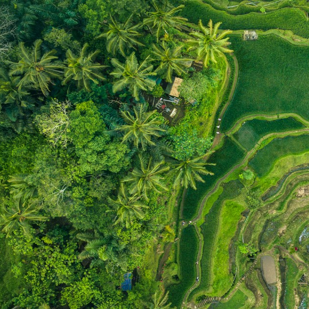 The travel and tourism sector stands at a critical juncture. Projected to contribute $16 trillion to global GDP by 2034 – more than 11% of the world’s economy – the industry faces unprecedented growth alongside complex challenges including environmental pressures, workforce shortages and tensions between visitors and residents.This comprehensive report, developed by the World Economic Forum in collaboration with Kearney, examines key growth drivers such as evolving traveller profiles, emerging segments like wellness and ecotourism, and technological innovation. It also addresses critical tension points including climate impact, skills gaps and labour shortages, and cultural preservation challenges.The report presents 10 guiding principles for sector transformation, from adapting offerings to regenerative practices, supported by an overarching framework for holistic collaboration. These principles provide actionable pathways for governments, businesses and communities to harness tourism’s potential while addressing sustainability imperatives, ensuring the sector becomes a catalyst for global resilience, cultural understanding and inclusive prosperity.