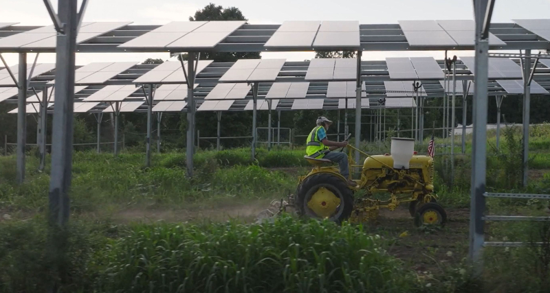 Project overviewLocated in Massachusetts, US, the&nbsp;Grafton Solar project&nbsp;is a 2-MW community solar farm with 1.4-MW of battery storage capacity, integrating solar power generation with active agricultural use. Operated by AES and operational since October 2022, the project demonstrates that at a small scale, energy, land use and community needs can be thoughtfully integrated.[1]The project was co-developed with partners including a local farmer, government, American Farmland Trust and University of Massachusetts Amherst (UMass Amherst),[2] ensuring the design met both energy and agricultural needs from inception. Unlike traditional solar projects that displace agriculture, Grafton Solar is designed for dual use, supporting rotational cattle grazing and crop cultivation beneath elevated solar arrays to co-locate solar infrastructure with active agricultural use.&nbsp;&nbsp;ApproachGrafton Solar’s implementation centred around redesigning the solar infrastructure to preserve farmland functionality. The agricultural plan, co-developed with farmers, shaped key design choices: solar panels were elevated to a minimum height of 3.2 metres above ground and spaced further apart to accommodate farm machinery and livestock grazing. Although this raised construction and material costs compared to traditional ground-mounted systems, it ensured the continued use of land for food production and created climate co-benefits such as reduced heat stress for cattle and enhanced soil moisture retention.&nbsp;AES partnered with UMass Amherst and American Farmland Trust to research and monitor soil health, crop productivity and microclimatic impacts, contributing data to national agrivoltaics studies.[3] AES also conducted educational tours, farmer engagement and research dissemination to build community awareness and support for integrated energy-agriculture models.&nbsp;Business and economic valueGrafton Solar demonstrates how dual-use renewable energy infrastructure can generate community value and align with long-term land stewardship goals. By co-locating energy production with active agricultural use, the project supports multiple income streams for farmers: lease payments from AES and ongoing agricultural revenue. This diversification reduces exposure to volatility in either sector and reduces reliance on a single source of revenue.&nbsp;&nbsp;The project avoided common land-use conflicts between farmers and developers, enabling smoother permitting and gaining strong support from farmers, local officials and residents. AES further reinforced its long-term responsibility by securing a financial bond for full decommissioning and site restoration, ensuring the land can return to full agricultural use at project end. The project also benefits from the Solar Massachusetts Renewable Target (SMART) programme,[4] which subsidizes energy bills for low-income households who subscribe to the project’s clean energy output.&nbsp;&nbsp;Beyond the Grafton project, AES has applied the lessons learned to scale co-location strategies across other developments, with more than 10,000 acres under active grazing at over 50 solar farms across the US and other applications involving crop integration and sustainable ecosystem design. The project has also contributed data and insights to partners like the US Department of Energy, National Renewable Energy Laboratory (NREL) and American Farmland Trust, to demonstrate maintenance of full agricultural potential and how community-centred design and practical adaptation of solar infrastructure can align agriculture with energy transition, strengthening long-term value creation for communities and the planet.[5]References:&nbsp;Case Study: Grafton Solar – AgriSolar Clearinghouse&nbsp;Grafton Solar: Integrating Solar Energy &amp; Agricultural Production-AES&nbsp;Farmland, Family, and the Future of Solar Energy – AgriSolar Clearinghouse&nbsp;&nbsp;Grafton Solar - AES&nbsp;New reports highlight best practices for combining solar energy and agriculture - US Department of Energy&nbsp;Smart Solar℠ · American Farmland Trust&nbsp;Benefits of agrivoltaics for farmers - AES&nbsp;