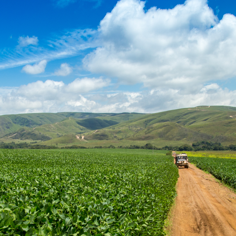 Agrobiomics is developing products to boost agricultural yields in land affected by salinity, drought or heat stress using biological solutions.Their bio-stimulant solution induces resilience in crops against drought and salinity stress, resulting in an average 35% increase in yield for rice under saline stress and 10% increase for soybeans under moderate drought when applied as seed coating. 