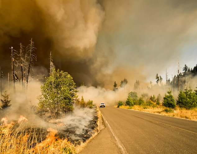 In 2023, the&nbsp;FireAId project, a collaboration between Koç Holding and the World Economic Forum, launched a pilot program that used AI to map and predict wildfires in Turkey. The pilot was launched in the wake of Turkey’s worst-ever wildfire season, which saw fires burn 1,400 km2 of forest.&nbsp;  Prior to the project, the Turkish government’s forestry datasets were up to 42% incorrect or incomplete according to Koç Holding. FireAId leveraged AI to improve the datasets to the point where they could be used to make high-confidence predictions, allowing leaders to now successfully predict wildfires with an 80% accuracy rate.&nbsp;