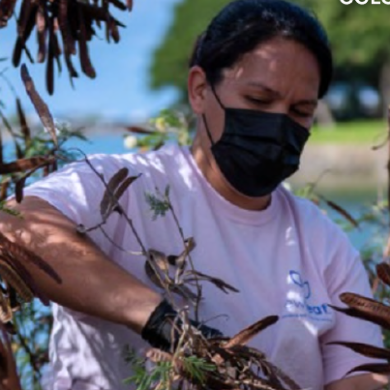 This report examines the aspects of gender equity and social inclusion (GESI) in Colombia's plastic value chain, highlighting the disproportionate impact of plastic pollution on select groups, including women, informal waste workers, and rural communities. It reveals systemic inequities in waste management and proposes a set of recommendations to support the livelihoods of these communities. This includes interventions such as formalizing the employment of waste workers, expanding inclusive waste management programs, integrating gender-sensitive policies, and fostering multi-stakeholder collaboration for an inclusive transition of the plastics economy in Colombia.