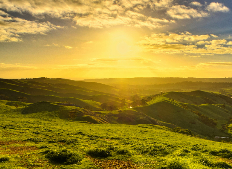 Virtual Power Plants (VPPs) are cloud-based energy management systems that aggregate many small and diverse distributed energy resources (DERs) – such as rooftop solar, batteries, combined heat and power (CHP) units, electric vehicles and flexible loads – and operate them collectively as if they were a single power plant. Through aggregation and coordinated control, these otherwise dispersed assets can provide grid services, participate in energy and ancillary markets and deliver demand-response capabilities that individual resources cannot access on their own.&nbsp;&nbsp;By pooling assets and optimizing their dispatch, a VPP can respond to real-time grid conditions, support the integration of variable renewable generation and contribute to system balancing. Aggregated operation enables frequency regulation, peak-period capacity provision and improved supply–demand alignment, while allowing owners of individual DERs to receive compensation for services traditionally delivered by centralized generation.&nbsp;Main outcomes of the solution&nbsp;Sustainability: Supports higher renewable penetration by coordinating distributed solar, storage and flexible loads into a responsive aggregated asset that can absorb, store or export energy as system conditions require.&nbsp;Reliability &amp; Flexibility: Improves system stability by enabling aggregated DERs to provide balancing, frequency regulation and peak-shaving services through real-time coordination.&nbsp;Business Value: Enables smaller DER owners to access energy and ancillary-service markets that typically require scale, lowering participation barriers and creating additional revenue streams for asset owners, aggregators and utilities.&nbsp;Key deployment and scaling factors&nbsp;Establish DER registration frameworks that allow residential, commercial and industrial resources to enroll in VPP programs.&nbsp;Deploy secure communication and control infrastructure linking aggregated DERs to a central dispatch platform.&nbsp;Enable market-access mechanisms that allow VPPs to participate in energy, ancillary and, where applicable, capacity markets.&nbsp;Design incentive structures such as rebates, dynamic tariffs or revenue-sharing arrangements to encourage participation.&nbsp;Ensure regulatory recognition of aggregated resources as eligible providers of grid services.&nbsp;Case StudyNext Kraftwerke and Peleman Industries (2023), Germany Peleman Industries first explored installing a BESS alongside a wind turbine to store surplus generation and increase operational flexibility, but on-site use alone did not generate sufficient revenue to justify the investment. To secure a more reliable income stream, Peleman Industries joined the Next Pool VPP, which aggregates distributed batteries to qualify for the Frequency Containment Reserve (FCR) market. Through digital aggregation, Next Kraftwerke links multiple units into a single flexible resource capable of responding within seconds to frequency deviations. The VPP sends automated control signals that direct charging and discharging in real time, enabling precise grid-stabilisation services. Aggregation also helps small storage units meet strict FCR performance and minimum-capacity requirements. By managing forecasting, real-time monitoring, market bidding and technical compliance, Next Kraftwerke enables battery owners to access ancillary-service revenues while contributing to system stability. [1]&nbsp;References: Buffering the Energy Crisis with Windpower and Storage I Next Kraftwerke&nbsp;