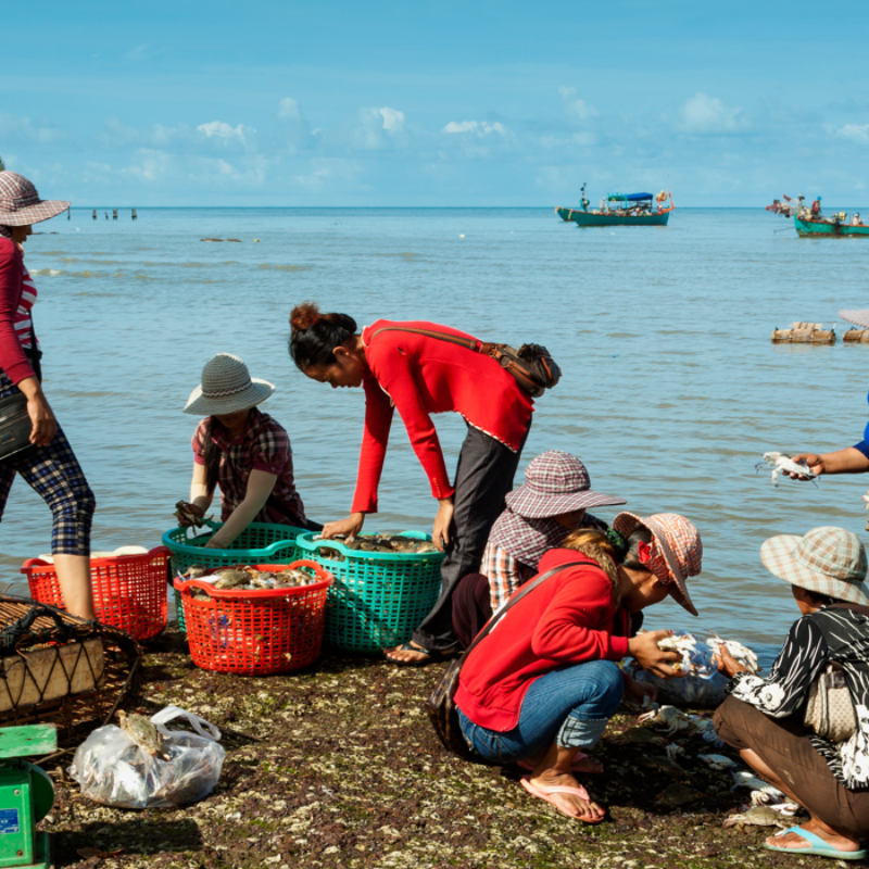 This report examines the aspects of gender equity and social inclusion (GESI) in Cambodia's plastic value chain, highlighting the disproportionate impact of plastic pollution on select groups, including women, informal waste workers, and rural communities. It reveals systemic inequities in waste management and proposes a set of recommendations to support the livelihoods of these communities.&nbsp;