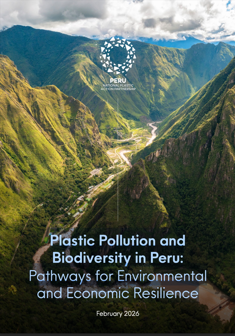 This report is one of nine assessments examining the interlinkages between plastic pollution and biodiversity loss. The assessments map where plastic pollution has the greatest ecological impact, explore the economic and social interdependencies driving both pressures, and identify solutions across the plastics value chain. Each report reviews existing policy frameworks and provides actionable recommendations to address both biodiversity loss and plastic pollution while advancing circular economy approaches. ﻿The assessments were developed with contributions from a wide range of stakeholders, including government, industry, recyclers, academia and civil society.