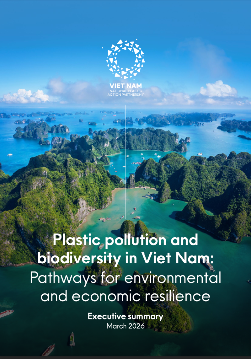 This executive summary presents the key messages from a full report that is one of nine assessments examining the interlinkages between plastic pollution and biodiversity loss. The assessments map where plastic pollution has the greatest ecological impact, explore the economic and social interdependencies driving both pressures, and identify solutions across the plastics value chain. Each report reviews existing policy frameworks and provides actionable recommendations to address both biodiversity loss and plastic pollution while advancing circular economy approaches. The assessments were developed with contributions from a wide range of stakeholders, including government, industry, recyclers, academia and civil society.