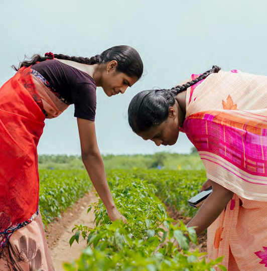 ChallengesTraditional agricultural extension can't keep pace, it struggles to deliver timely, scalable advice, especially in remote and underserved regions. Farmers face compounding barriers such as literacy, language, patchy digital access, and too few trusted agronomists to go around. And as advisory goes digital, a harder problem surfaces: keeping AI-generated recommendations accurate, context-specific, and farmer-centric across wildly different geographies, crops, and farming systems. Scale and trust usually pull against each other.SolutionsFarmerChat is a conversational, AI-powered advisory platform that lets smallholder farmers get real-time, localized guidance through text, voice, or a photo, in their own language, across 15+ languages. It answers field-level questions on crop planning, pest and disease management, weather, inputs, and market readiness, drawing on fine-tuned language models, Retrieval-Augmented Generation (RAG), and expert-validated datasets, and refined through reinforcement learning from human feedback (RLHF) so that answers stay grounded in verified agronomy rather than generic AI output. It's built for low-connectivity settings and for the way farmers actually communicate not just the language they speak.