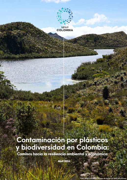 This report is one of nine assessments examining the interlinkages between plastic pollution and biodiversity loss. The assessments map where plastic pollution has the greatest ecological impact, explore the economic and social interdependencies driving both pressures, and identify solutions across the plastics value chain. Each report reviews existing policy frameworks and provides actionable recommendations to address both biodiversity loss and plastic pollution while advancing circular economy approaches.﻿The assessments were developed with contributions from a wide range of stakeholders, including government, industry, recyclers, academia and civil society.