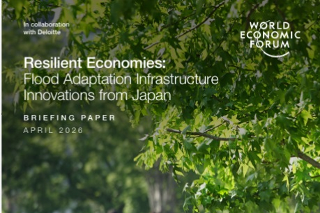 A briefing paper making the case for building resilient urban and rural places through infrastructure innovations. The paper looks at the intersection between infrastructure and innovation from Japan (including large scale infrastructure, rural infrastructure, and other technological and urban innovations), the importance of having systems lens and change approach, and viewing resilience as an economic catalyst.