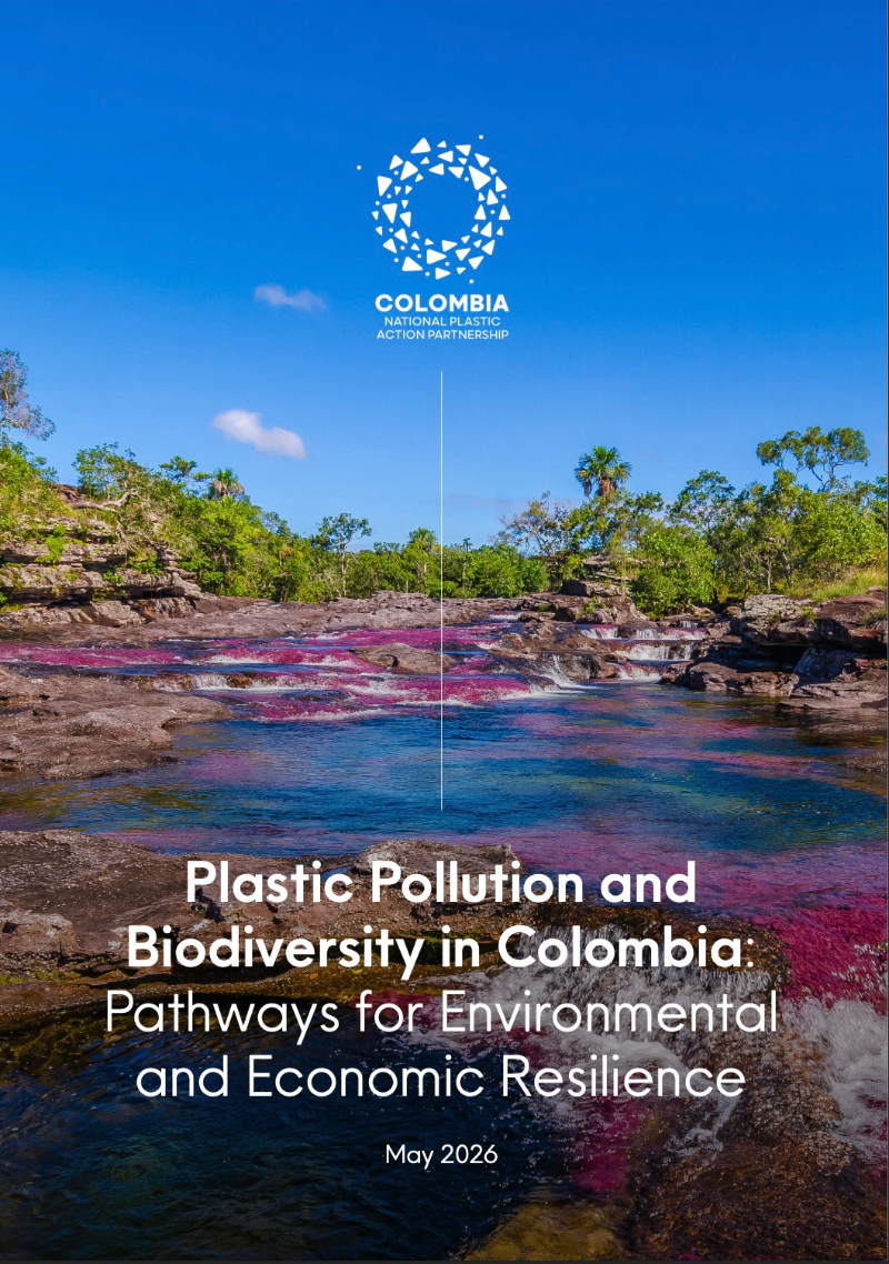 This report is one of nine assessments examining the interlinkages between plastic pollution and biodiversity loss. The assessments map where plastic pollution has the greatest ecological impact, explore the economic and social interdependencies driving both pressures, and identify solutions across the plastics value chain. Each report reviews existing policy frameworks and provides actionable recommendations to address both biodiversity loss and plastic pollution while advancing circular economy approaches. The assessments were developed with contributions from a wide range of stakeholders, including government, industry, recyclers, academia and civil society.