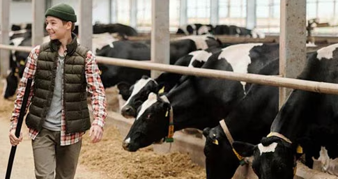 Description financing model: Corporate price premiums as a de-risking mechanism for preferential bank lending, conditional on sustainbility performanceCorporate offtakers leverage their sustainability procurement commitments to de-risk upstream dairy farmers, bundling price premiums and technical assistance with preferential bank financing - incentivising the adoption of measurable on-farm sustainability practices.Applicability:&nbsp;Best suited to supply chains where corporate buyers can formalise sourcing specifications and offer measurable price incentives.&nbsp;Considerations: Scalability depends on sustained corporate willingness to maintain price premiums and on the availability of robust MRV systems to reliably quantify and verify on-farm GHG reductions and sustainable practices at scale.Description of de-risking tool(s):Price premium / offtake agreement: Nestlé and Vreugdenhil commit to defined sourcing specifications and pay farmers a premium on their milk for adopting measurable sustainability practices. This revenue certainty de-risks the farmer's business case for investment and improves their bankability, enabling Rabobank to offer discounted interest loans directly linked to programme participation.Case study description:This model supports dairy farmers across the Netherlands in transitioning to more sustainable practices - including GHG emissions reduction, regenerative agriculture, and improved farmer livelihoods. The Tomorrow's Dairy programme operates as a downstream-driven financing mechanism: Nestlé and Vreugdenhil create an incentive programme granting price premiums on milk to enrolled farmers who adopt measurable on-farm sustainability practices. This revenue certainty acts as a de-risking signal for Rabobank, which in turn offers preferential loans to participating farmers, allowing them to access discounted financing for sustainable business improvements, supporting their transition and strengthening their financial resilience.As part of the programme, enrolled farmers work with agricultural advisors to develop tailor-made business plans with measurable sustainability goals.(1)&nbsp;&nbsp;Nestlé and Vreugdenhil,&nbsp;under a five-year collaboration agreement, define sourcing specifications and commit to paying a price premium for milk produced with measurable on-farm sustainability practices&nbsp;(2)&nbsp;&nbsp;The price premium acts as a de-risking mechanism:&nbsp;it provides revenue certainty to farmers and signals demand for sustainably produced dairy to Rabobank(3)&nbsp;&nbsp;Rabobank links its lending conditions to the incentive programme,&nbsp;offering preferential (discounted) interest loans to farmers who meet minimum performance standards on a selection of the following sustainability indicators:a.&nbsp;&nbsp;&nbsp;Number of cows per hectareb.&nbsp;&nbsp;&nbsp;CO₂-equivalent emissions per kilogram of milkc.&nbsp;&nbsp;&nbsp;&nbsp;Share of protein from own landd.&nbsp;&nbsp;&nbsp;Share of permanent grasslande.&nbsp;&nbsp;&nbsp;Nitrogen surplus per hectaref.&nbsp;&nbsp;&nbsp;&nbsp;&nbsp;Productive lifespan of dairy cowsg.&nbsp;&nbsp;&nbsp;Grazing practices(4)&nbsp;&nbsp;Nestlé and Vreugdenhil provide technical assistance to farmers to help them implement measurable on-farm sustainability practices, including supporting them in working with agricultural advisors to develop tailor-made business plans with measurable sustainability goals(5)&nbsp;&nbsp;Farmers repay their loans to Rabobank; the premium revenue from corporate offtakers supports their financial position and ability to service the debt&nbsp;Since its launch in 2022, over €50 million has been committed through 2030, more than 150 farmers have been engaged, and the programme targets a 50% reduction in GHG emissions by 2030 compared to 2018 levels.