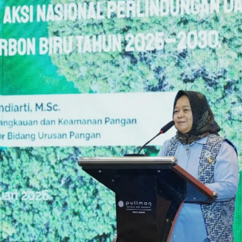 Project overviewIn February 2026, Indonesia launched RENAKSI, the National Action Plan for the Protection and Management of Blue Carbon Ecosystems 2025-2030, marking an important step in coordinating policy, finance and stakeholder action around one of the world's most significant blue carbon landscapes. Indonesia holds around 17% of global blue carbon reserves, supported by approximately 3.45 million hectares of mangroves and 660,000 hectares of seagrass meadows. These ecosystems are central to climate mitigation, coastal resilience, biodiversity protection and the development of a regenerative blue economy.RENAKSI was launched by the Coordinating Ministry for Food Affairs together with the Indonesia National Blue Carbon Action Partnership. It was developed with the support of multiple ministries and agencies, including those responsible for marine affairs and fisheries, environment, finance, national development planning, forestry, research and innovation, and village development, alongside NGOs, scientists and academic institutions. Its purpose is to create a shared national framework for protecting and managing mangrove, seagrass and tidal marsh ecosystems while aligning blue carbon action with climate targets, inclusive development and sustainable financing.ApproachRENAKSI responds to a core implementation challenge: Indonesia already has significant blue carbon assets, policy momentum and technical capabilities, but long-term ecosystem protection requires stronger alignment across institutions, regulations, data systems, financing instruments and community-level priorities. The action plan provides a government-anchored framework to harmonize policies, identify programme needs and guide implementation by relevant ministries and institutions according to their mandates.The plan builds on existing governance foundations, including international agreements, national climate commitments, regulations on mangrove protection and carbon economic value instruments. It also recognizes the need to clarify definitions, strengthen mitigation methodologies, improve marine spatial planning, and reinforce law enforcement so that blue carbon ecosystems can be managed consistently across jurisdictions.A second pillar is science and data. Indonesia has important technical assets, including national mangrove mapping, forest reference emission levels, greenhouse gas inventories, measurement, reporting and verification systems, and geospatial monitoring platforms. RENAKSI highlights the need to further adapt MRV systems for blue carbon, strengthen seagrass mapping and improve access to research infrastructure.The third pillar is financing and social inclusion. RENAKSI aligns implementation strategies with funding instruments and principles of Gender Equality, Disability and Social Inclusion. It recognizes the role of public programmes, community initiatives, carbon economic value mechanisms, Green Sukuk, Blue Bonds, grants and concessional finance. By linking policy coordination with inclusive financing, the plan aims to move beyond isolated projects towards a more coherent national investment environment for blue carbon protection and management.Business and economic valueRENAKSI helps create the enabling conditions for high-integrity blue carbon investment in Indonesia. A unified national framework can give companies, investors and development partners greater confidence to engage through sustainability credit purchases, supply chain transformation, direct project development or catalytic finance. This is particularly important in a market where credibility, clear rules, robust data and community safeguards are essential for scaling investment.The action plan also supports Indonesia's broader blue economy opportunity, estimated at roughly USD 1.3 trillion. By protecting and restoring mangroves, seagrasses and tidal marshes, RENAKSI can contribute to climate mitigation, coastal protection, fisheries productivity, biodiversity conservation and climate-resilient livelihoods. Its value lies not only in carbon potential, but in demonstrating how blue carbon can be integrated into national development planning, public finance, private investment and community resilience.For ACT Ocean, the case shows how governments can coordinate multiple institutions and partners around blue carbon while creating clearer pathways for responsible corporate and financial engagement. It offers a relevant model for countries seeking to convert natural capital into investable, inclusive and policy-aligned opportunities without losing sight of ecosystem integrity and local benefit.References1. Indonesia launches national action plan for blue carbon ecosystems - ANTARA News2. National Action Plan: Protection &amp; Management of Blue Carbon Ecosystems - Konservasi Indonesia3. Indonesia National Blue Carbon Action Partnership and Government of Indonesia launch materials