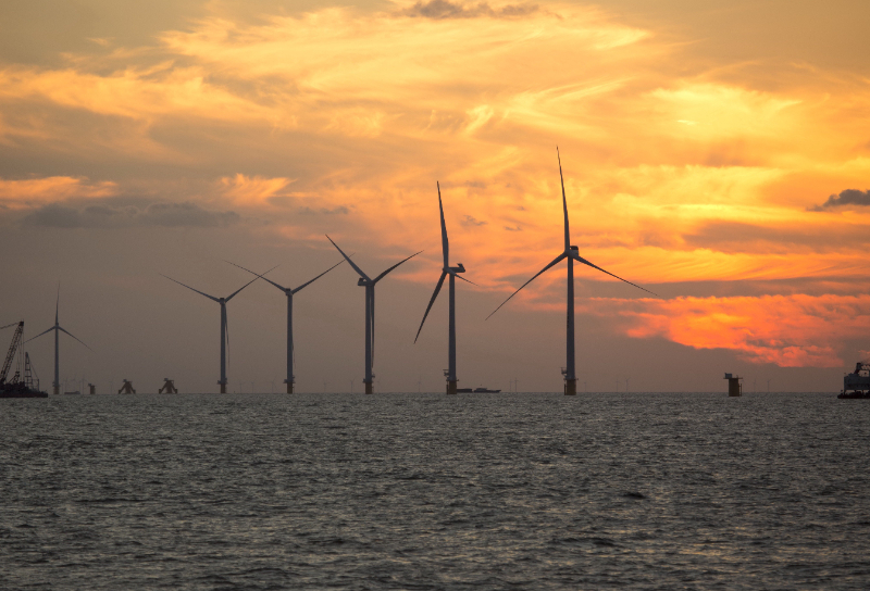 At a GlancePartners: Keelung Wild Bird Society; Maizailiao Cultural Association; Changhua Wild Bird Society; National Taiwan University; National Pingtung University of Science and TechnologyInvestment type: Direct investment in conservation programmeKey business benefit: Addresses the potential collision risks of offshore windfarms, complies with investor biodiversity standards, and supports Ørsted’s social license to operate.Key outcomes: Habitat restoration, monitoring, research and education in support of species and habitats adjacent to the windfarm. Data on the impact of the first two years of these interventions coming in early 2027.The OpportunityThe waters and coast off Changhua County, Taiwan, are home to several species of special conservation status, including the critically endangered Taiwanese Humpback Dolphin, the endemic Taiwan picnic seabream, and the vulnerable Black-faced spoonbill as well as a plethora of other marine mammals, fishes, and birds. Changhua County also has the largest wind energy capacity of any county, municipality or city in Taiwan. In preparing the Greater Changhua Offshore Wind Farm, Ørsted aimed to address the potential impacts of windfarm operations in a highly biodiverse corridor, recognising the importance of coordination across stakeholders and opportunity to meet biodiversity goals in doing so.The ApproachIn developing the Greater Changhua Offshore Wind Farm, Ørsted undertook a Critical Habitat Analysis and Cumulative Impact Assessment for this project, per Equator Principles to manage environmental and social risks required by the project’s investors. Having identified critical habitats and impacts through these assessments, a Biodiversity Action Plan (BAP) was then created to identify actions for the marine mammals, fishes, and birds and their associated habitat to ensure a net gain for species and no net loss of natural habitats.As outlined in the BAP, Ørsted collaborates with other Taiwanese offshore windfarm developers, researchers, NGOs, regulators and cross sector partners to monitor and evaluate impacts on migratory seabirds and bird species with significant collision risks as well as marine fauna to identify if additional management measures are required. Baseline data were collected in 2025.Ørsted has also engaged in habitat restoration and enhancement for wading bird species and seabird species identified in the BAP as having critical habitat or significant collision risk. For example, on Mianhua Islet, Ørsted has installed artificial nesting burrows for the Streaked Shearwater with the Keelung Wild Bird Society. At the Zhuoshui River estuary, Ørsted is restoring abandoned fishponds to coastal wetland with the Maizailiao Cultural Association. With the Changhua Wild Bird Society, Ørsted monitors EAAF (East Asian-Australasian Flyway) migratory raptor roosts. Further actions include education, stakeholder engagement and academic research on critical habitat, supported by National Taiwan University and National Pingtung University of Science and Technology.Value CreatedFor Ørsted, the actions taken in Greater Changhua provide an offset to identified collision risk from the windfarm while also increasing social license to operate both with the local community as well as globally. Ørsted also sees a learning value in its work in through Greater Changhua as it continues to strive toward its 2030 biodiversity commitment and engage across multiple types of seascapes.For biodiversity outcomes, Ørsted has a goal for creating gains for species and habitat in the Greater Changhua cluster. Robust restoration and habitat enhancements coupled with monitoring and evaluation will provide quantitative and qualitative data for tracking biodiversity outcomes through time, with first data to verify impact to be reported in early 2027.Why It Matters / Key TakeawaysThis case demonstrates the biodiversity benefit of investor standards supporting corporate biodiversity action and strong implementation for net gain for species and habitat as set by Ørsted. Further, given the density of wind development in the area, the coordination across stakeholder, including other Taiwanese offshore windfarm developers, researchers, NGOs regulators and cross sector partners ensures coordinated monitoring, research, and adaptive management for achieving species and habitat targets not possible with these stakeholders acting in isolation.Relevant global targetsGlobal Biodiversity Framework Targets 2 (restoration), 4 (species recovery), 15 (business assessment of biodiversity impacts), 21 (knowledge and data)ReferencesGreater Changhua Southwest Offshore Windfarm in Taiwan Biodiversity Action Plan. June 2025Greater Changhua Southwest Offshore Wind Farm in Taiwan Critical Habitat Assessment 16 May 2025Her, Kelly (1 January 2017). "Fair Winds". Taiwan Today. Archived from the original on 3 March 2017.Ørsted Wins Taiwan Biodiversity Action Award Silver for Second Consecutive Year　Demonstrating the Coexistence of Renewable Energy and NatureØrsted Awarded Silver at 2025 Taiwan Biodiversity Action Awards — First Offshore Wind Developer Recognized for Marine Ecosystem Conservation