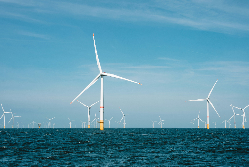 At a GlancePartners: BASF, Allianz (co-owners); De Rijke Noordzee / The Rich North Sea; Royal Netherlands Institute for Sea Research (NIOZ), Deltares, Waardenburg Ecology, Seaward, Wageningen Marine Research (nature-inclusive design and monitoring); Siemens Gamesa (recyclable blades); North Sea farmers (seaweed co-location pilot)Investment type: Company-funded by Vattenfall; enabled by a government-backed grid connection and competitive tender process, but developed without direct government subsidy.Key business benefit: Demonstrates that nature-inclusive design is commercially viable at gigawatt scale without subsidy, while SeaLab builds a reusable R&amp;D platform that secure comprehensive knowledge for&nbsp;future projectsKey outcomes: 139 turbines, 1.5 GW installed capacity, ~1.5 TWh generated annually, powering more than 1.5 million households with fossil-free electricity since 2024; nature-inclusive design and construction of turbine foundations and blades; novel habitat creation on scour protection and within turbine foundations, as well as piloting co-use with seaweed cultivation.The OpportunityOffshore wind is a core growth sector in the ocean economy and must scale up rapidly to support decarbonization and energy security.[1] Yet this expansion within heavily used marine environments demands that deployment contribute to ecosystem recovery, rather than just minimize harm. Newer projects are already moving beyond impact avoidance towards net-positive ecological and social outcomes alongside energy production.[2]﻿The ApproachHollandse Kust Zuid (HKZ), located 18-36 km off the Dutch coast in the North Sea, is one of the largest examples in practice. Jointly owned by Vattenfall, BASF and Allianz, it has 139 turbines and 1.5 gigawatts (GW) of installed capacity, producing approximately 1.5 terawatt-hours (TWh) of electricity annually – enough for more than 1.5 million households. Funded by Vattenfall and operational since 2024, HKZ is the first offshore wind farm in Europe developed without direct government subsidies.[3] The project contributes to industrial decarbonization while supplying fossil-free electricity to businesses and households.[4]The project was enabled by a stable regulatory environment, Dutch government-backed grid connections, visibility on future market volumes and a tender process that reduced risk for private investors while allowing power to be sold into wholesale markets. HKZ also functions as a testbed for innovation and ecosystem enhancement. The research and development platform, SeaLab, convenes research institutes, universities and other stakeholders with the purpose of disseminating scientific knowledge on ecological initiatives and circular supply chain design. Working with De Rijke Noordzee, Vattenfall added elliptical openings to turbine foundations to allow water exchange and create shelter for marine species, installed artificial rock reefs on scour protection to increase habitat complexity and deployed a double bubble curtain to reduce construction noise while monitoring the impacts on marine mammals.[5] This work embeds nature-inclusive design in the wind farm’s infrastructure and operations.[6]Further pilots include using thermal cameras and AI to trigger temporary shutdowns during peak bird migration and working with North Sea farmers to test a floating seaweed farm between turbines to explore co-location of renewable energy with sustainable food production. Vattenfall is also trialling recyclable blades, developed by Siemens Gamesa, to reduce the lifecycle impact of offshore infrastructure.[7] Results are still being assessed, with monitoring informing adaptive management.Early results from independent monitoring by The Rich North Sea indicate initial colonisation of turbine foundations by fish and invertebrates in the novel turbine structure.[8] Monitoring of this site will inform continued adaptive management. HKZ shows that site-level regenerative measures are achievable at scale. Value CreatedThe benefit to Vattenfall is demonstrating that nature-inclusive design is commercially viable at gigawatt scale, which will only increase in relevance as future tenders increasingly weigh environmental performance alongside price. SeaLab also serves as long-term investment in enabling innovation: the AI bird-monitoring system, recyclable blade trial, and pilots for seaweed farms can be revisited and adapted for future projects.The benefit to society is the generation of fossil-free energy equivalent to more than 1.5 million households.The benefit to nature, summarised in the contributions to the Global Biodiversity Framework:Targets 2 and 11 (restoration and ecosystem services): water replenishment holes and artificial rock reefs increase habitat complexity and shelter within an actively used industrial marine site, the first time a turbine's own structure has been used this wayTarget 4 (species recovery / reducing human-wildlife conflict): noise mitigation during construction via a double bubble curtain and AI-triggered shutdowns during bird migration reduce direct disturbance to harbour porpoises and migratory seabirds.Target 8 (climate change mitigation): roughly 1.5 TWh of annual fossil-free electricity contributes to decarbonization at a scale relevant to Dutch energy targets.Why It Matters / Key TakeawaysHKZ provides evidence that nature-inclusive design is commercially viable at gigawatt scale when enabling policy and partnerships are in place. However, site measures alone will not deliver system-wide regeneration without supportive governance and cross-sector coordination.&nbsp;Scaling-up from project to system requires marine spatial planning, cross-sector coordination and policy signals that reward net-positive contribution, not just impact mitigation.&nbsp;Relevant global targets: 2 (restoration), 4 (species), 8 (climate mitigation), 11 (ecosystem services)ReferencesEuropean Environment Agency. (2024). Harnessing offshore wind while preserving the seas, Briefing No. 14/2024. https://doi.org/10.2800/3621684Soininen, N., Huhta, K. &amp; Vesa, S. (2025). Offshore Wind Power through the Lenses of EU Climate, Energy and Environmental Law—Between Climate Aspirations, Market Competition and Environmental Impact. Ocean Development &amp; International Law, vol. 56, no. 4, pp. 505-525. https://doi.org/10.1080/00908320.2025.2587359Vattenfall. (n.d.). Hollandse Kust Zuid. https://powerplants.vattenfall.com/hollandse-kust-zuid/ IbidKrogh, M. (2023). Vattenfall goes the extra mile for dolphins in Denmark. Vattenfall. https://group.vattenfall.com/pressand-media/newsroom/2023/vattenfall-goes-the-extra-mile-for-dolphins-in-denmark/Vattenfall. (2021). Annual and Sustainability Report 2021, pp. 50-51. https://group.vattenfall.com/investors/financialcalendar/annual-and-sustainability-report-2021/Vattenfall. (2022). Vattenfall offshore wind farm will use recyclable wind turbine blades. https://group.vattenfall.com/pressand-media/newsroom/2022/vattenfall-offshore-wind-farm-will-use-recyclable-wind-turbine-blades/The Rich North Sea (n.d.). Vattenfall. https://www.therichnorthsea.com/project/vattenfall/