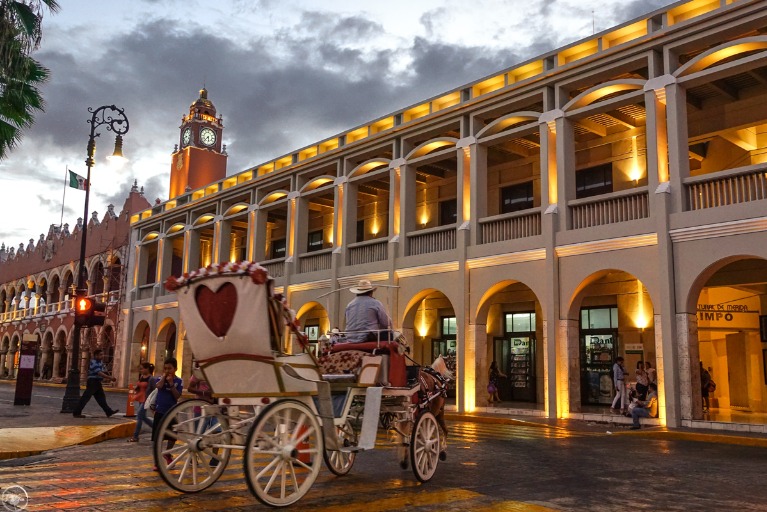 Merida Hub