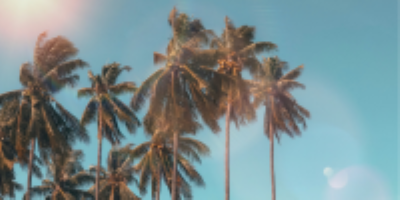 Miami Hub