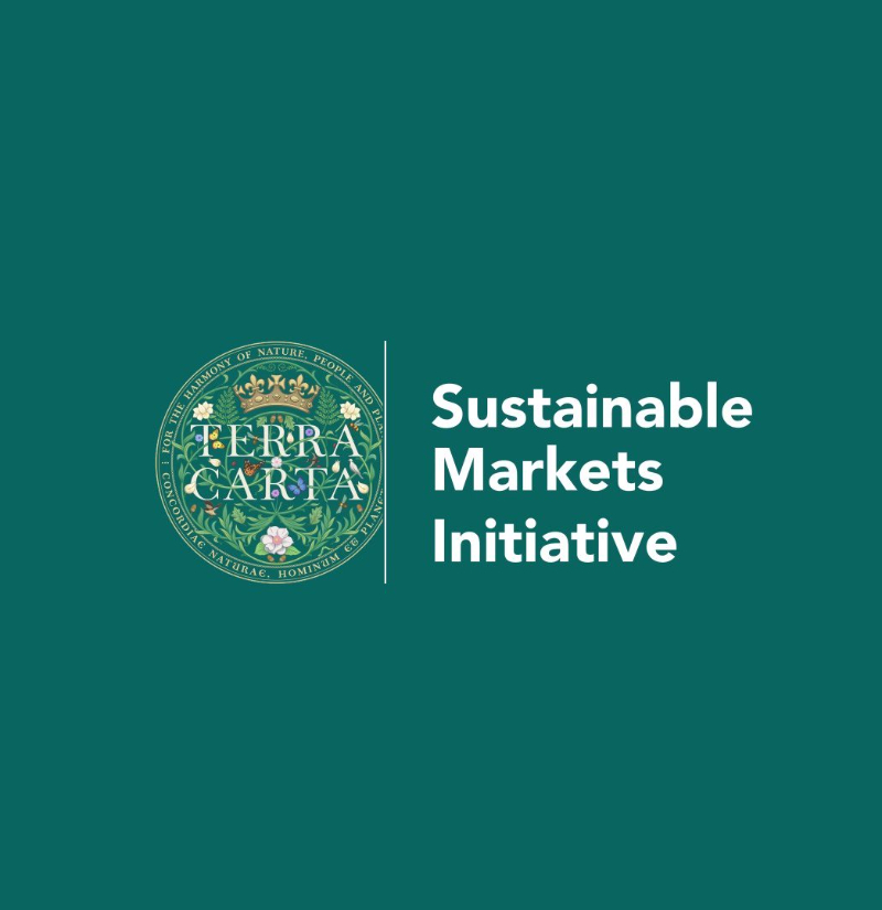 Sustainable Markets Initiative