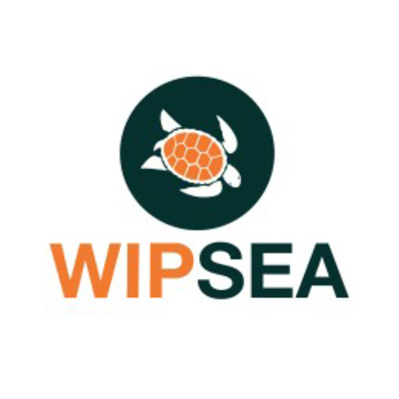 Wipsea