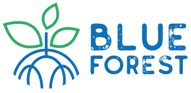 Blue Forest