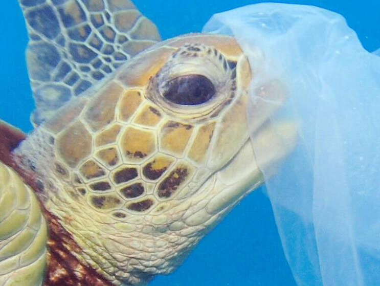 UK Plastics Pact