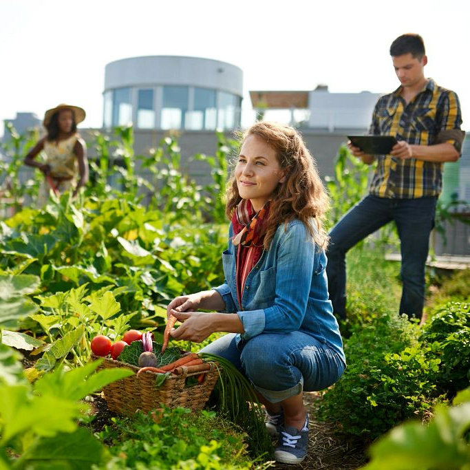 Verizon Community Forward