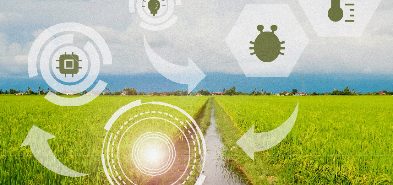 AI for Agricultural Innovation (AI4AI)