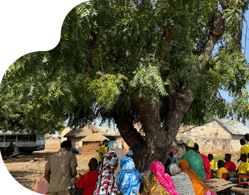 Project Jacaranda