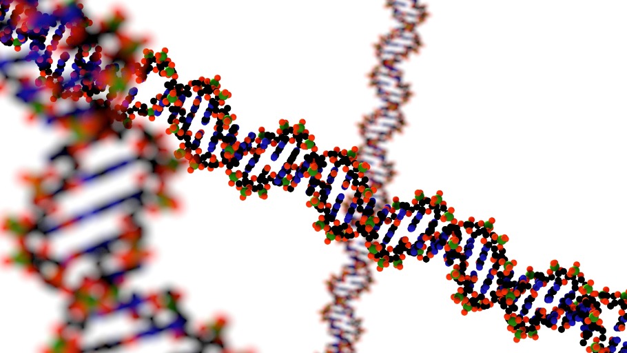 Precision Medicine: Progress and Promise
