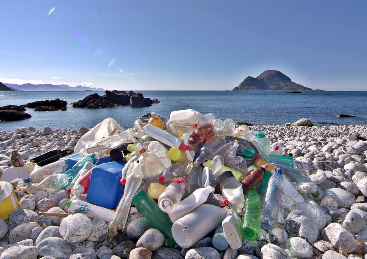 The Plastic Revolution