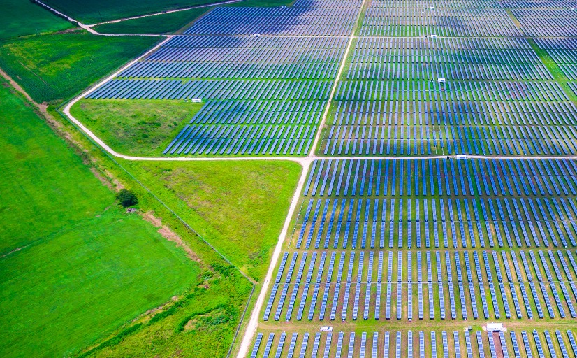Greening China's Belt and Road Initiative