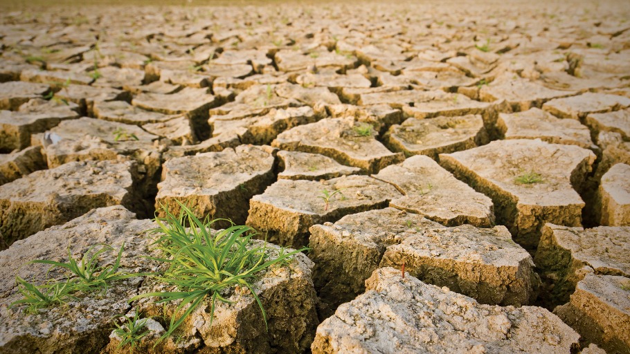 Accelerating Climate Action