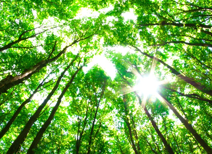 Future of the Amazon: Conversation with Iván Duque, President of Colombia