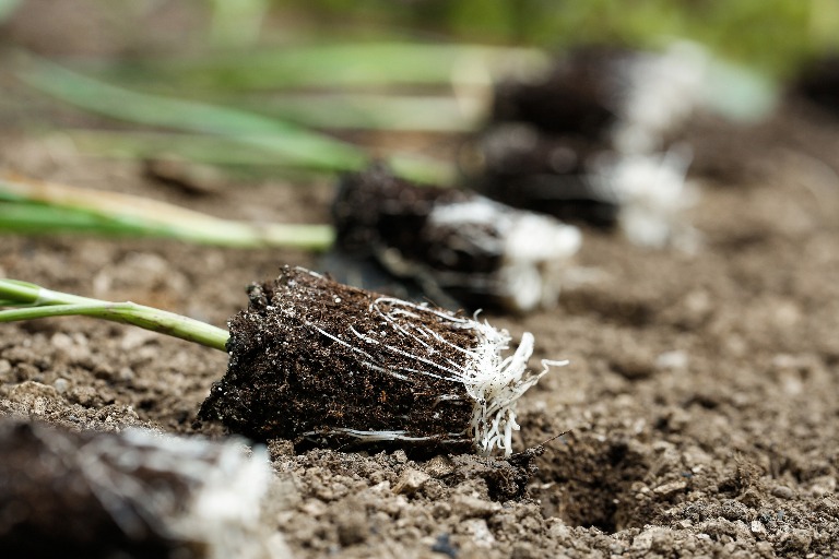 Swapping Subsidies for Green Incentives