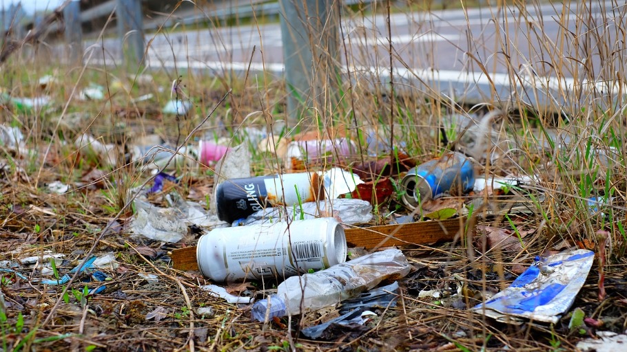 Breaking Free from Single-Use Plastics