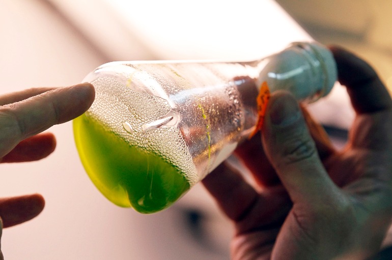 Biosensors and the Future of Diagnostics