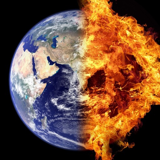 The Global Impact of Australia's Wildfires
