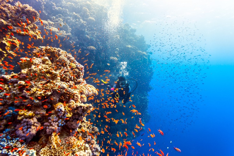 Finance and the Sustainable Blue Economy