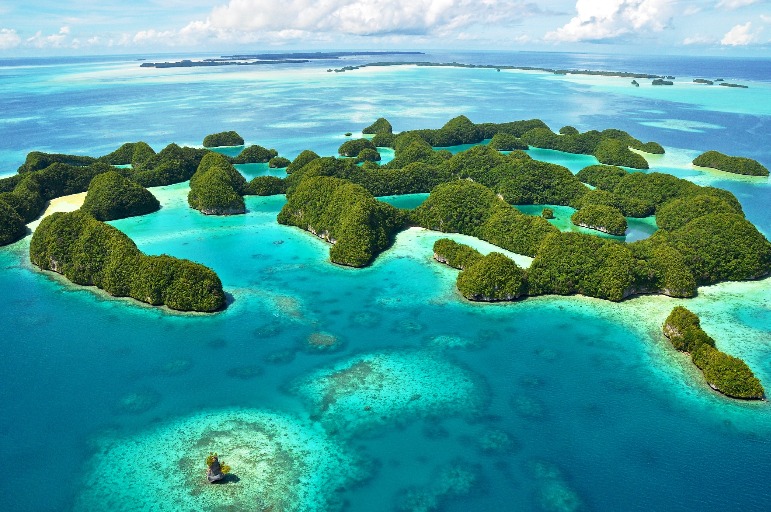 Global Priorities for Ocean Protection