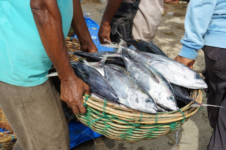 Nourishing Billions