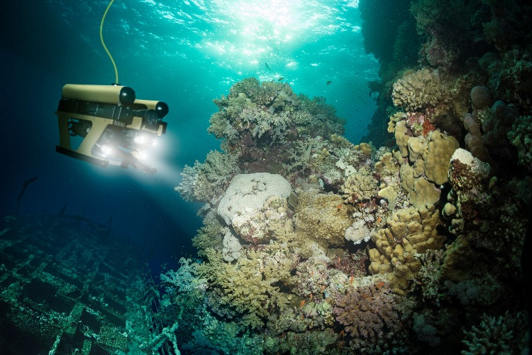 A Digital Ocean: Data and Science
