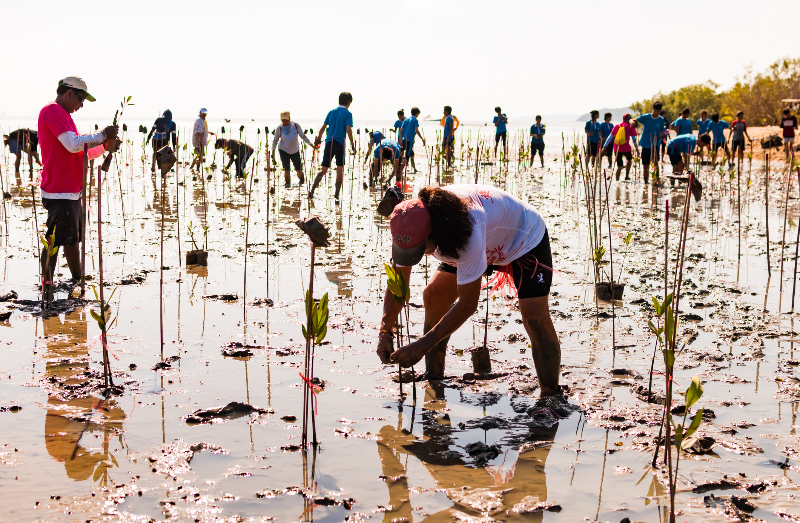 Communities Taking Ocean Action